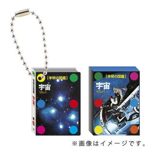 �ظ��ο޴� �޴շ��ߥ˥��奢�ե����奢���㡼�� [10.����]�ڥͥ��ݥ������б��ۡ�C��