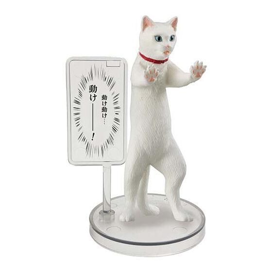 廚二猫