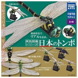 ������·�äƤޤ�!!�۸����޴ե��꡼�� ���ܤΥȥ�� [��5�糧�å�(�ե륳���)]�ڥͥ��ݥ������б��ۡ�C��