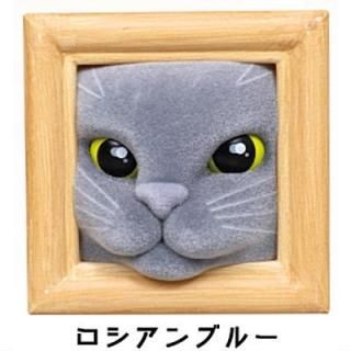 ǭ�ե졼�� ������ɥե����奢 [1.��������֥롼]�ڥͥ��ݥ������б��ۡ�C��