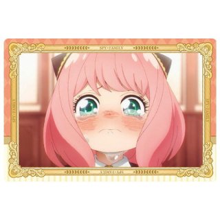 SPY��FAMILY �����ϡ��� [22.���ȡ��꡼������8]�ڥͥ��ݥ������б��ۡ�C��