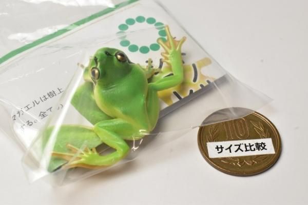 ネイチャーテクニカラーMONO PLUS トノサマガエルとシュレーゲル