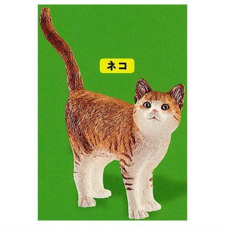 Schleich カプセルシュライヒ Cat & dog [4.ネコ]【ネコポス配送対応】【C】