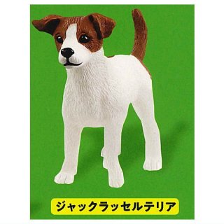 Schleich カプセルシュライヒ Cat & dog [6.ジャックラッセルテリア]【ネコポス配送対応】【C】