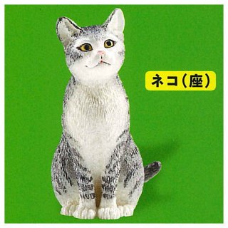 Schleich カプセルシュライヒ Cat & dog [7.ネコ(座)]【ネコポス配送対応】【C】