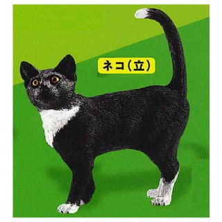 Schleich カプセルシュライヒ Cat & dog [8.ネコ(立)]【ネコポス配送対応】【C】