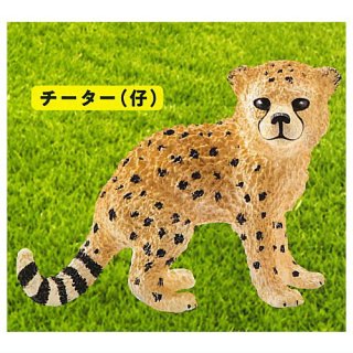 Schleich カプセルシュライヒ animals [4.チーター(仔)]【ネコポス配送対応】 【C】