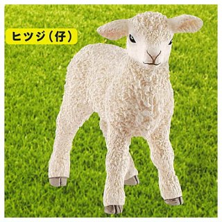 Schleich ץ륷饤 animals [5.ҥĥ()]ڥͥݥб C