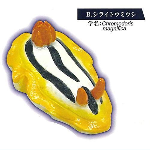 ウミウシ箸置き [2.シライトウミウシ],レインボー ガチャガチャ