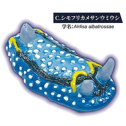 Amazon.co.jp: ウミウシの箸置き ガチャガチャ ミドリリュウグウ
