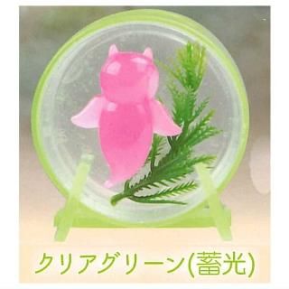 ꥪ ꥦ 륹饤ߡ [5.ꥢ꡼(߸)] ͥݥԲ 