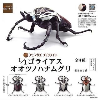 ·äƤޤ!!ۥ˥ޥꥨ쥯 1/1 饤ĥΥϥʥ॰ [4糧å(ե륳)] ͥݥԲ ۡC