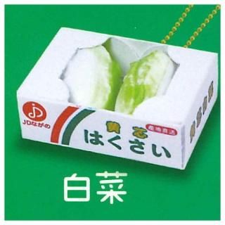 Ȣ������ڥޥ����å�BC3 [1.���]�ڥͥ��ݥ������б��ۡ�C��