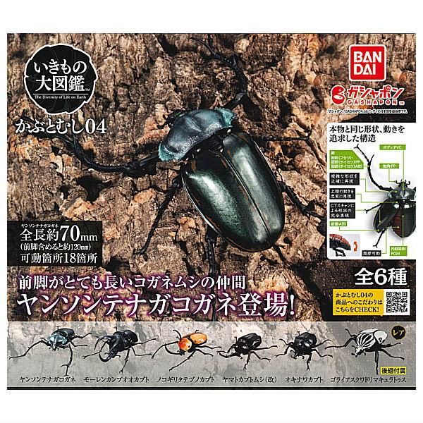 ガシャポン いきもの大図鑑 かぶとむし 01 全7種 フルコンプ