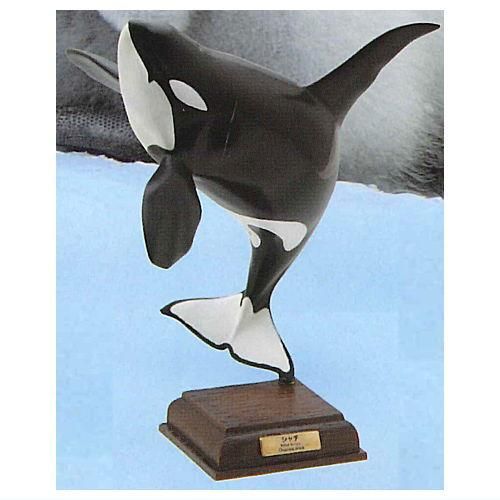 ネイチャーテクニカラー 南極 特装版 [5.シャチ],いきもん