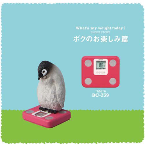 タニタ×パンダの穴 今日は何キロ?(再販) [6.BC-759(ペンギン) ボクのお