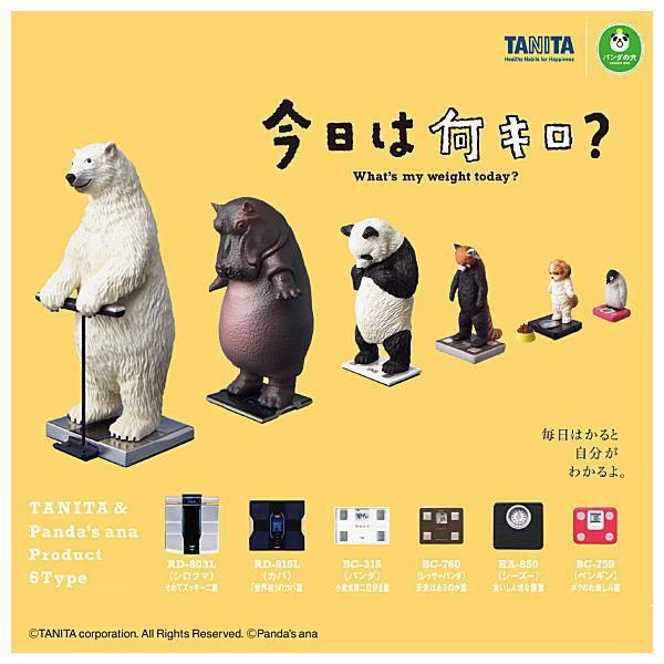 全部揃ってます!!】タニタ×パンダの穴 今日は何キロ?(再販) [全6種