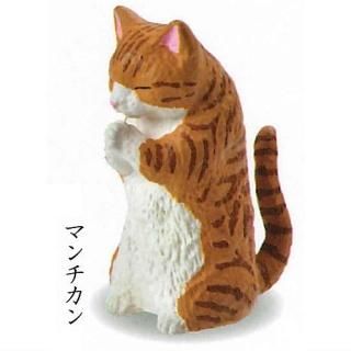 �羸 GASSHO �� ǭ�� ¶���� [2.�ޥ������]�ڥͥ��ݥ������б��ۡ�C��