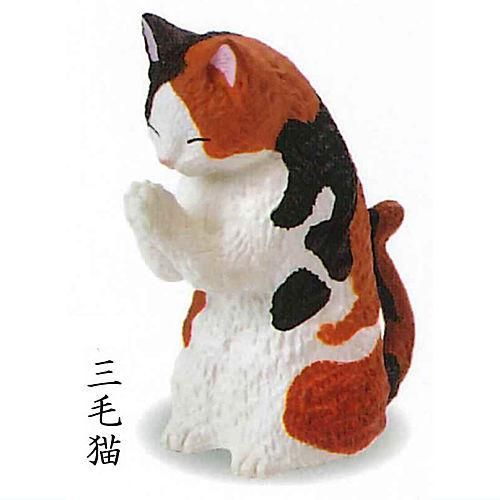 クリムちゃん専用ページ【送料込み】 顕微鏡アクセサリーキット 3.5X 7X 45X 90X 同時焦点三眼実体