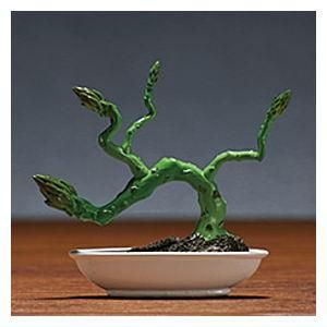 ߺ BONSAI [1.Ѥ餬]ڥͥݥбۡC