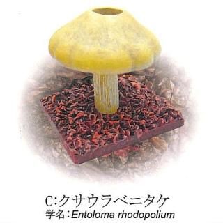 マッシュ 森に住むふしぎなきのこ [3.目つむり],ジェンコ ガチャガチャ