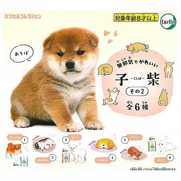 【全部揃ってます!!】無邪気でかわいい子柴 その2 [全6種セット(フルコンプ)],ターリンインターナショナル ガチャガチャ カプセルトイ 通販