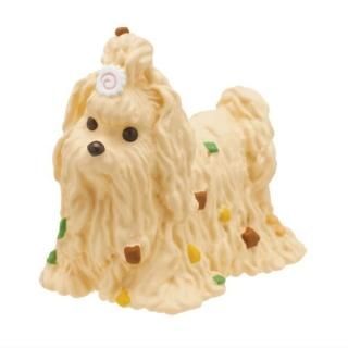 ���٤��ZOO [2.���̡��ɥ�]�ڥͥ��ݥ������б��ۡ�C��