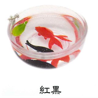 四つ尾の金魚小鉢 [1.紅黒]【ネコポス配送対応】【C】