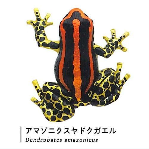 ♯Jpi13FzネイチャーMONOヤドクガエル2ストラップマグネット16種 ♯Jpi13FzネイチャーMONOヤドクガエル2ストラップマグネット16種