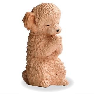 �羸 �� ���� ¶���� [5.�ȥ��ס��ɥ�(ø��)]�ڥͥ��ݥ������б��ۡ�C��