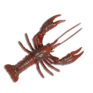 ���ꥬ�˦å���� [1.��������å�]�� �ͥ��ݥ��Բ� ��