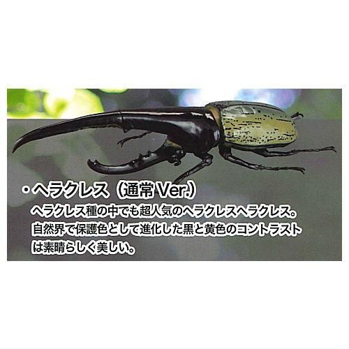 1/1ヘラクレスオオカブト ver2.0 [1.通常Ver.],SO-TA