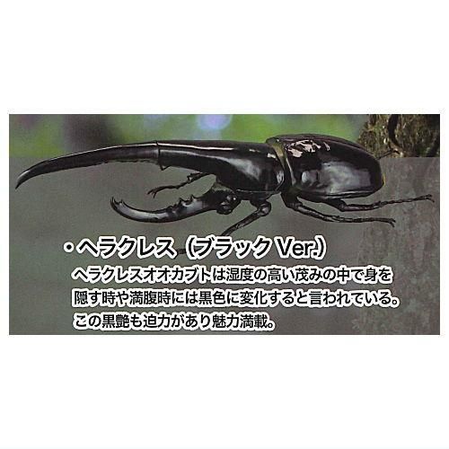 1/1 ヘラクレスオオカブト ver2.0 2点 1/1ヘラクレスオオカブトver2.0 - スタジオソータ公式 | アート