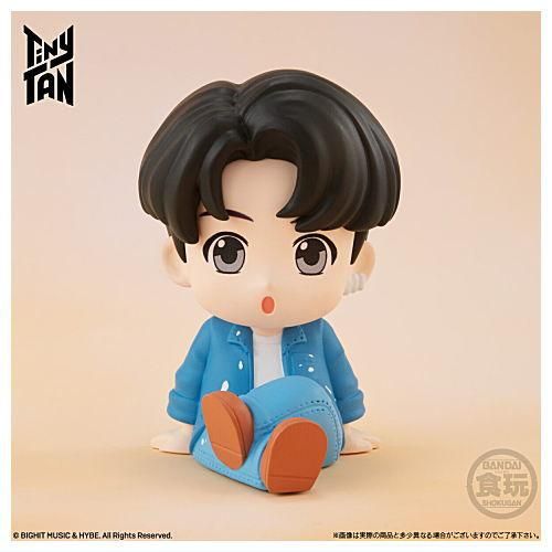 防弾少年団(BTS) - TinyTAN V テテ ぬいぐるみS+ぬいぐるみ