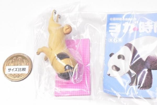 Amazon.co.jp: 海洋堂 佐藤邦雄の動物たち ヨガの時間 全6種