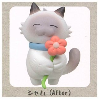 ǭ Before and After ޥåȥե奢 [4.(After)] ͥݥԲ ۡC