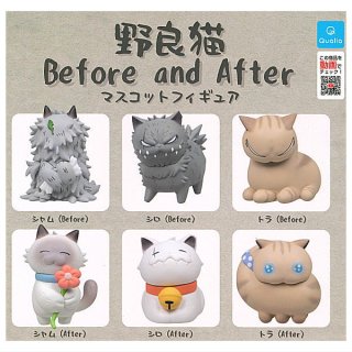 ·äƤޤ!!ǭ Before and After ޥåȥե奢 [6糧å(ե륳)] ͥݥԲ ۡC