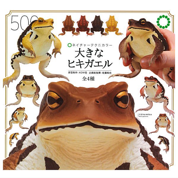大量購入用 ネイチャーテクニカラー 日本のカエル 全8種 フルコンプ ...