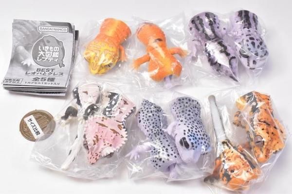 いきもの大図鑑レプティBEST レオパとクレス 全5種 フルコンプ ガチャ