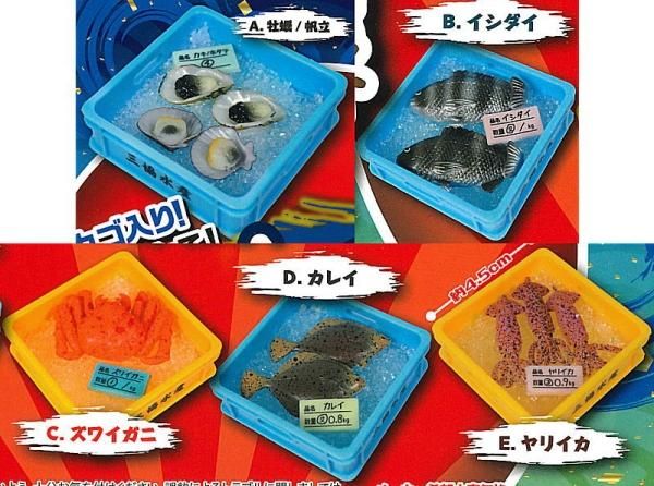 全部揃ってます!!】カゴ入り！とれたて！水産マスコット2 [全5種