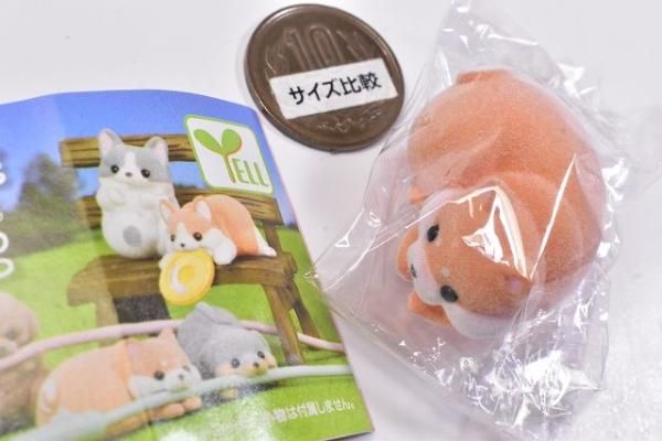 ケーブルかじかじ わんこ [5.まめしば],エール ガチャガチャ