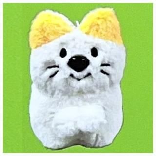 <img class='new_mark_img1' src='https://img.shop-pro.jp/img/new/icons42.gif' style='border:none;display:inline;margin:0px;padding:0px;width:auto;' />�ͤ��å������Τˤ��ˤ�󤪤Ǥ����ޥ����å� [1.�����ͤ��å������]�� �ͥ��ݥ��Բ� ��