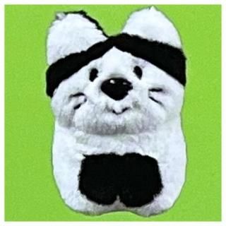 <img class='new_mark_img1' src='https://img.shop-pro.jp/img/new/icons42.gif' style='border:none;display:inline;margin:0px;padding:0px;width:auto;' />�ͤ��å������Τˤ��ˤ�󤪤Ǥ����ޥ����å� [2.�ϥ����ͤ��å������]�� �ͥ��ݥ��Բ� ��