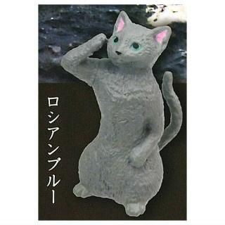 <img class='new_mark_img1' src='https://img.shop-pro.jp/img/new/icons42.gif' style='border:none;display:inline;margin:0px;padding:0px;width:auto;' /> ǭ  [5.֥롼]ڥͥݥбۡC