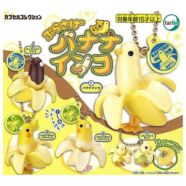 sasanqua by trees デニムバナナトラウザー カタカナ別注