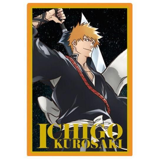 BLEACH ウエハース2 [14.黒崎一護 (箔押しレア)(ビジュアルカード