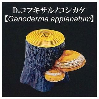 ڤΤΤ 쥯Vol.1 [4.եΥ] ͥݥԲ ۡC