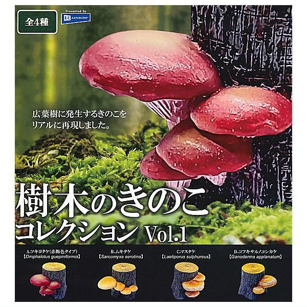 サルノコシカケ 大 ダブル