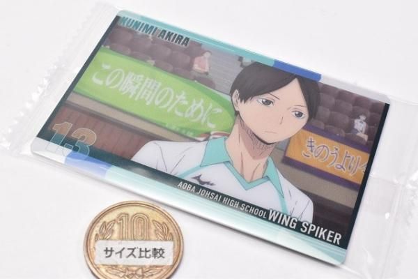 ハイキュー!! ウエハース4 [14.国見 英(キャラクターカード