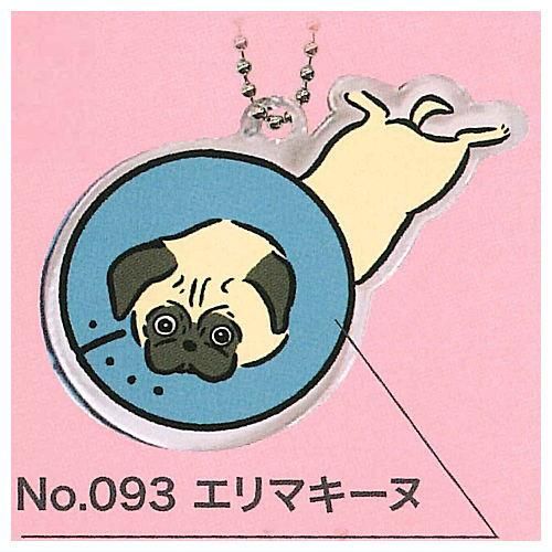 変な犬図鑑 アクリルキーホルダー [5.エリマキーヌ],イエロー